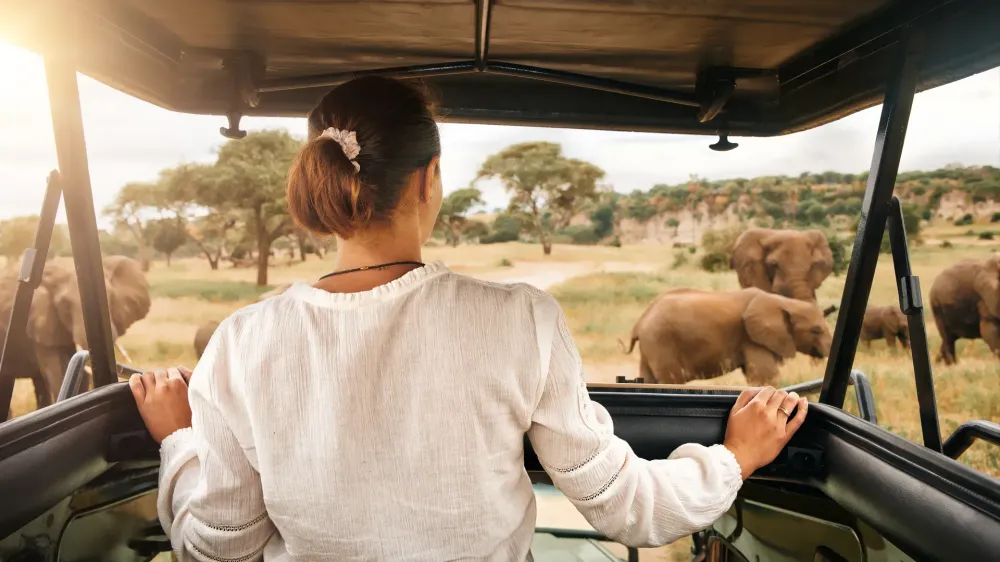 woman tourist on african safari.